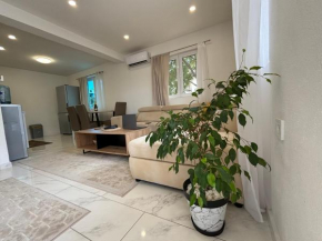 Radoncic Apartment